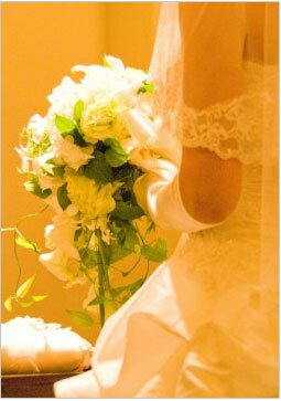 �C�M���X�̎�s�����h���̏��T�C�g�B�ό������Љ�E�n��E�������Ǝʐ^100�_�ȏ�f�ڂ��Ă���y�[�W�̃����h���ŉ߂����f�G�ȓ~
